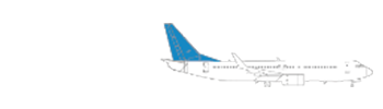  Boeing 737-800 